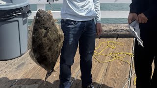 How to catch halibut from a pier (Easy Setup)