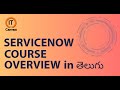 Servicenow Course Overview for Beginners in తెలుగు | Servicenow Basic Queries | IT Canvass