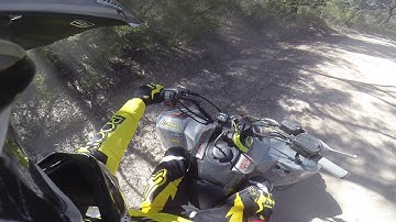 Polaris predator drifting