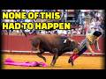 Spain’s Top Matador Gored in Brutal Comeback (Reaction + Bullfighting Ethics)