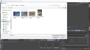Learn Cinema 4D: Low Poly Wolf : Import Images