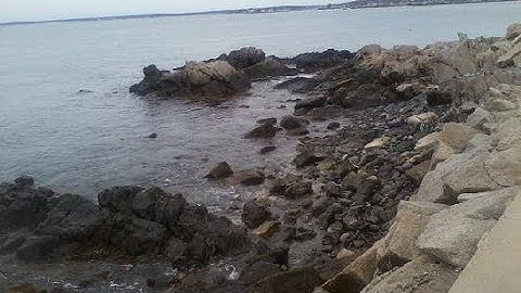 Shaker Loops I. Shaking and Trembling, John Adams composer