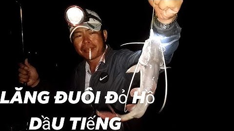 Câu cá tự nhiên _ cắm trại qua đêm và săn cá lăng đuôi đỏ tại hồ dầu tiếng Tây Ninh @caudaotv7173