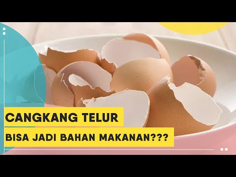 Sering Dibuang, Cangkang Telur Ternyata Juga Bisa Dijadikan Bahan Makanan