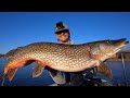 Spring fishing trophy pike in minnesota