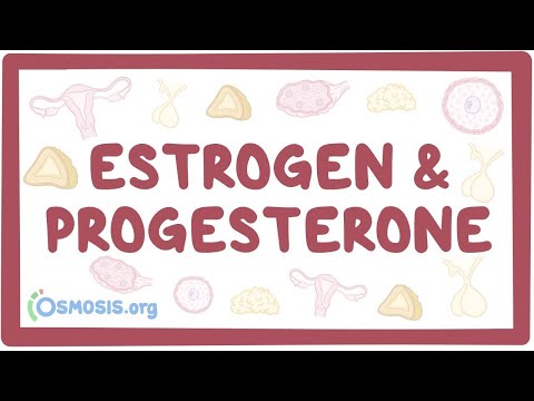 Video: Østrogen