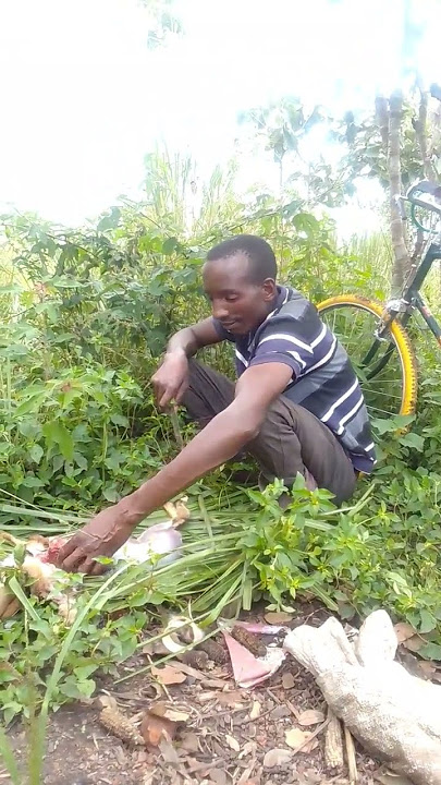 ndama huyu alijeluhiwa fisi