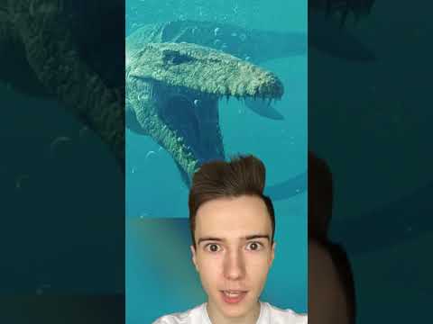 Video: Boli tam mamuty s dinosaurami?