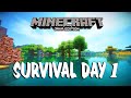 Minecraft survival #1