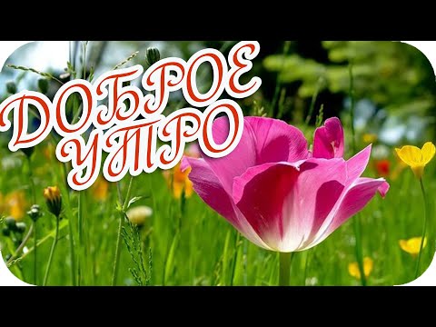 Доброе утро! ❤️Цените каждый день! ❤️Красивая музыкальная открытка!❤️