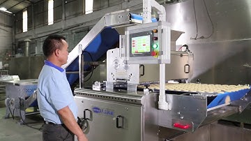 Skywin automatic cookie production line
