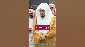 سورة الطارق . الشيخ الوليد الشمسان #اكسبلور #القرآن_الكريم