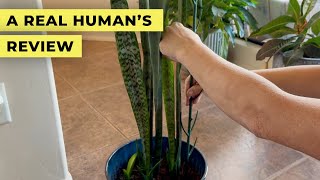 Reviewing Loohoi Indoor Outdoor Potted Climbing Plant Support Stakes
