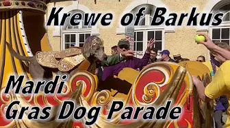 Mardi Gras Krewe of Barkus - Parade of Costumed Dogs in New Orleans's French Quarter