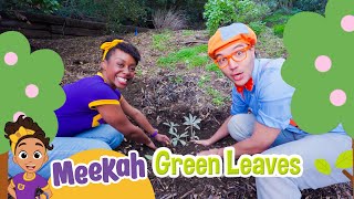 Grow Green with Blippi \u0026 Meekah: Learn to Plant | MEEKAH Full Episode | Educational Videos for Kids