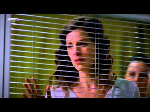 وادي الذئاب الجزء الثامن الحلقة 67 مدبلجة للعربية HD 