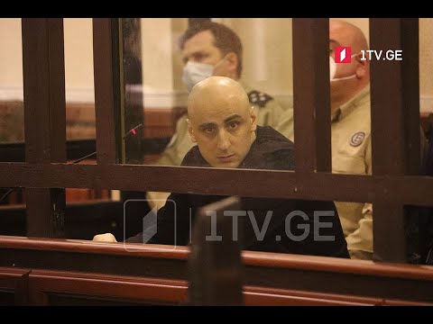 ნიკა მელიას გათავისუფლების საკითხი