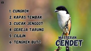 MASTERAN CENDET TERBAIK GACOR MUDAH MASUK