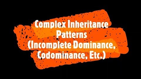 Complex Inheritance Patterns Incomplete Dominance, Codominance, etc - Mr. Boylan
