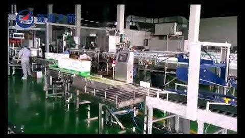 Automacic beverage check weigher from dahang automation