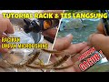 cara membuat umpan micro fishing dengan perpaduan essen magic bait langsung tes dan hasilnya gacor