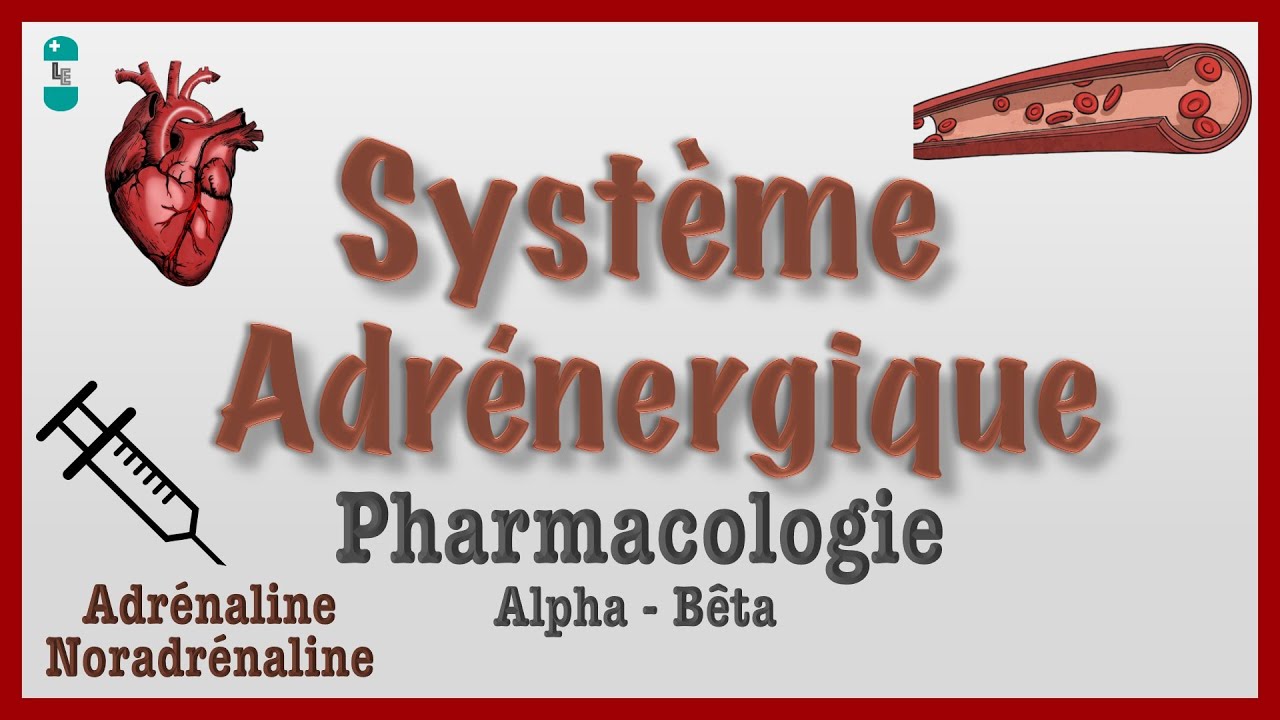 Système Adrénergique Pharmacologie, catécholamines, agonistes
