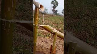खेत से चिड़िया भगाने का देसी जुगाड़ | Bamboo Craft #Ramcharan110 #Experiment #Shorts_Videos