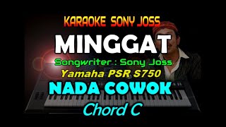 Sonny Josz - Minggat [KARAOKE] By Saka