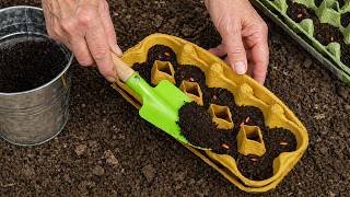 Planting seeds the easiest and most effective way for beginners