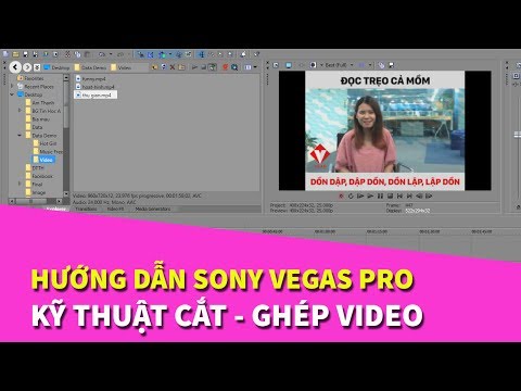 Sony Vegas #4: Hướng dẫn kỹ thuật CẮT - GHÉP video