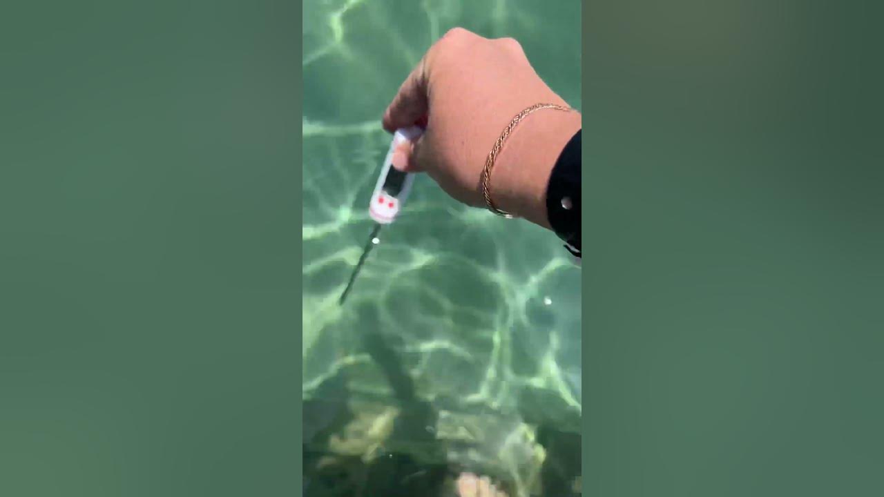 Погода в Хургаде сегодня 20.07.23. Температура воды в Красном море ...