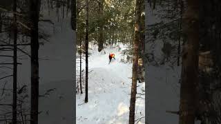 Maine Woods Walk-New Years Eve 2025 Part 3