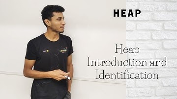 1 Heap Introduction and Identification