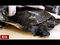 【博多の寿司】リピート率93％の理由がわかる！凄い裏事情を公開！『磯ぎよからず』スッポン、コチ、ハモ/A great sushi restaurant with 93% repeaters