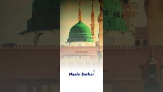 Sarkar Do Aalam Ki Hawa Di Jaye | Qari Riyazuddin Ashrafi | Naat Status