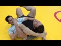 SAKURABA Original “YURIKAMOME” TAKE2
