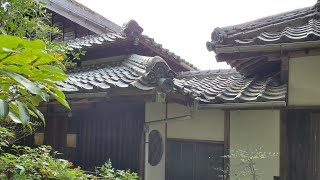Oops, I bought a Kominka, an old Japanese Folk House!