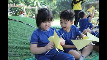 MỘT NGÀY TRẢI NGHIỆM TẠI PANDORA CỦA TIỂU HỌC LÝ THÁI TỔ