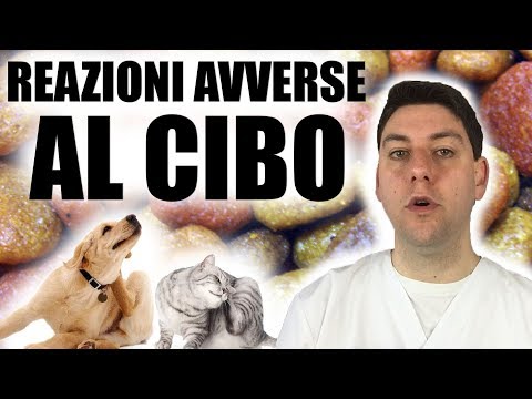 Video: Cosa Fare Se Il Tuo Cucciolo Ha Un'allergia