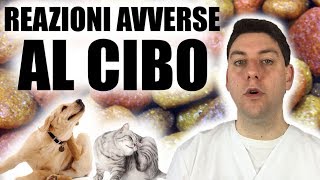 Reazioni Avverse al Cibo: quali sono e come si manifestano nel Cane e nel Gatto?