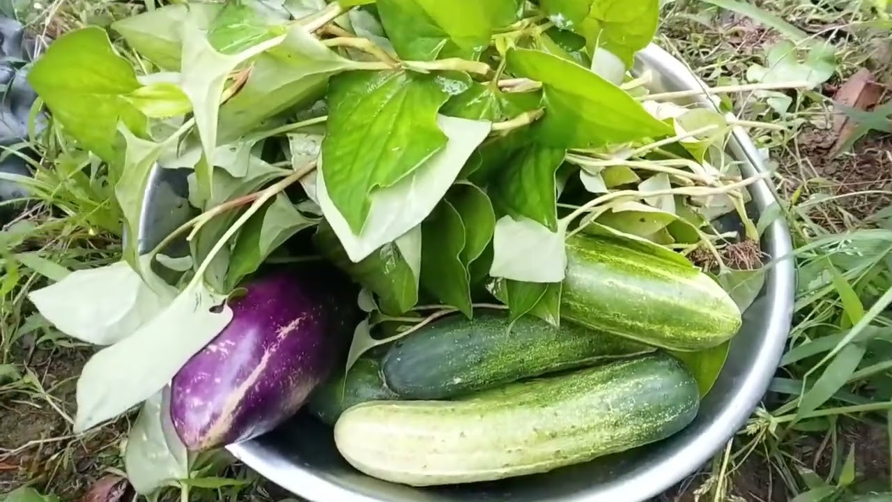 @Nay book xe giá trên trời mắc guá🥰🥰🥰🥰🥰🥰🥰....Xem thêm#dibi#