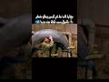 حكاية قائد نط في البسين وطلع مغطى بالسولار بسبب غلطة مجند جديد Shorts حكاية قائد نط في البسين وطلع مغطى بالسولار بسبب غلطة مجند جديد Shorts
