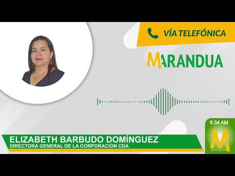 #MaranduaVerde🌳 Autoridades buscan cerrar vía ilegal en el Resguardo Llanos del Yarí- Yaguará II