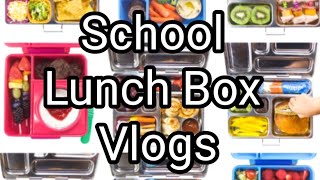 Morning Routine for School | kids Morning Routine Vlogs | Lunch box ideas | Pakistani family Vlogs