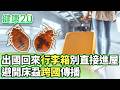 出國回來行李箱別直接進屋 避開床蝨跨國傳播【健康2.0分段】@tvbshealth20  EP3203-3 20260607 #陳欣湄#韋汝#趙昭明#譚敦慈#鄒瑋倫#錢毅