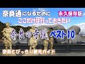 【奈良通の寺院ベスト10】奈良通になるために一度は行っておきたい奈良の寺院ベスト10 新薬師寺~法華寺~霊山寺~宝山寺~達磨寺~長岳寺~安倍文殊院~九品寺~岡寺~壺坂寺 注目寺院をご案内【奈良観光】