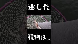 大きいのが釣れたと思ったら...