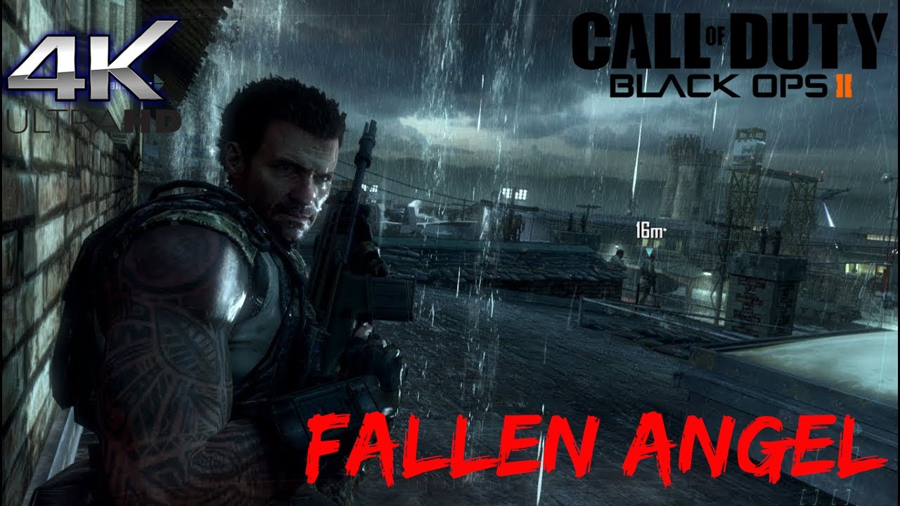 Call of Duty  Black Ops II: Fallen Angel
