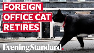 Palmerston the Foreign Office cat retires from Chief Mouser duties