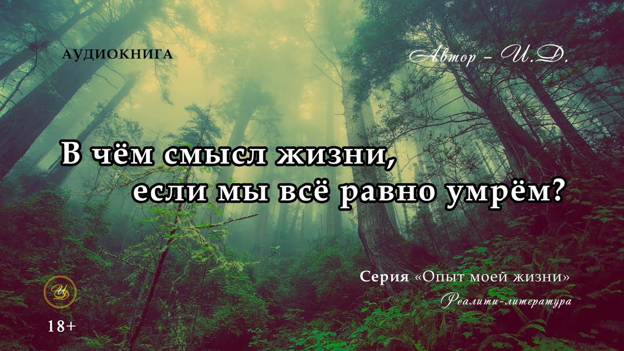 Смысл жизни если умрем. Зачем мы живём в чём смысл жизни. Зачем жить если все равно. Аудиокнига про жизнь со смыслом. Смысл жизни в жизни.